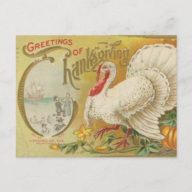 Vintage Thanksgiving turkey Postcard (Front)