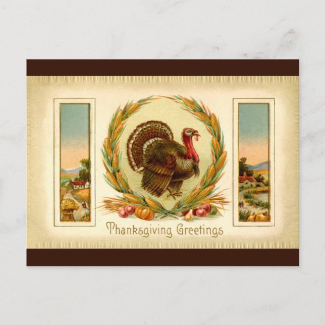 Vintage Thanksgiving Turkey Postcard (Front)