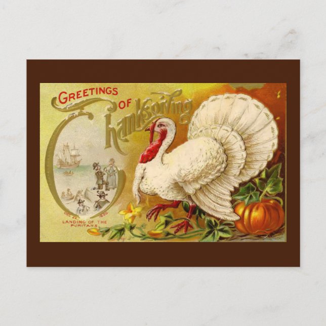 Vintage Thanksgiving Turkey Postcard (Front)