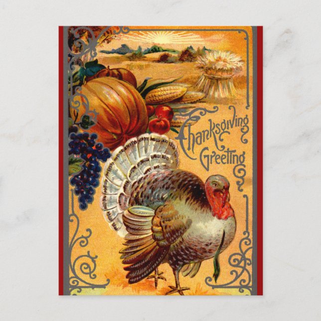 Vintage Thanksgiving Turkey Postcard Greeting (Front)