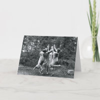 Vintage - The Best Memories with Friends,