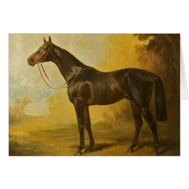 Vintage Thoroughbred Horse (Front Horizontal)