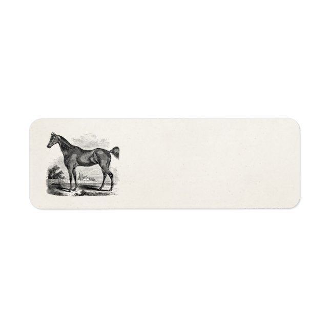 Vintage Thoroughbred Horse Equestrian Personalised (Front)