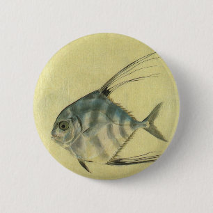Vintage Threadfin Trevally, African Pompano Fish 6 Cm Round Badge