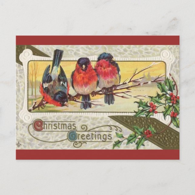 Vintage Three Birds and Christmas Holly Postcard (Front)