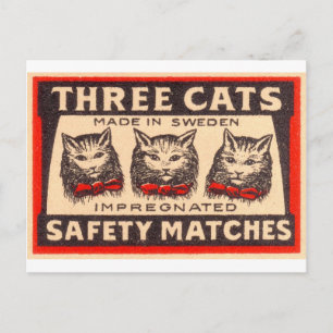 Vintage Three Cats Safety Matches Postcard