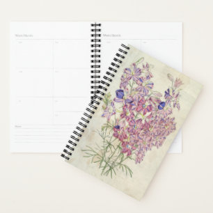 Vintage Three-Coloured Branching Larkspur Planner