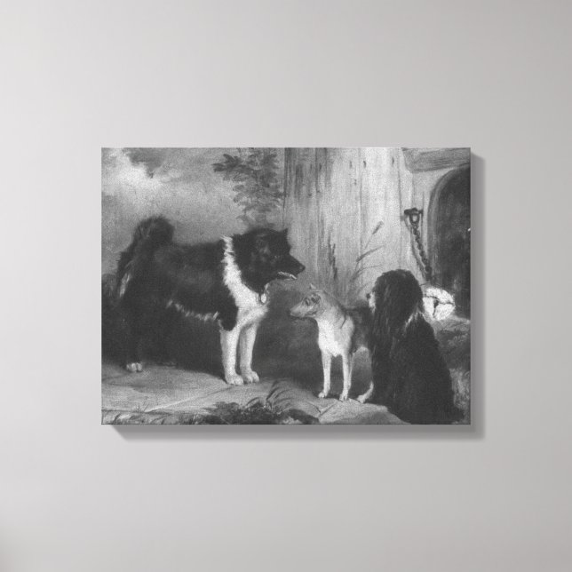 Vintage Three Dogs Thomas Musgrave Joy Canvas Print (Front)