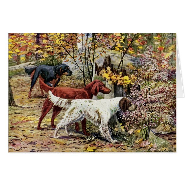 Vintage - Three Setter Dogs in the Woods, (Front Horizontal)