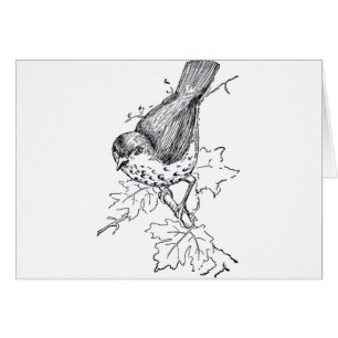 Vintage Thrush Black and White