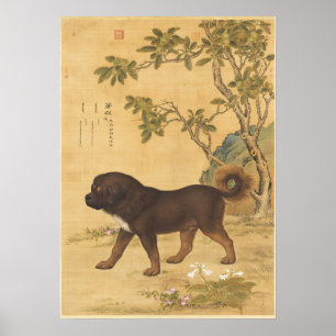 Vintage Tibetan Mastiff Imperial Chinese Art Poster