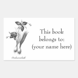 Vintage tiger flower etching bookplate rectangular sticker