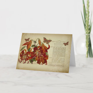 Vintage Tiger Lily Botanical Illustration Card