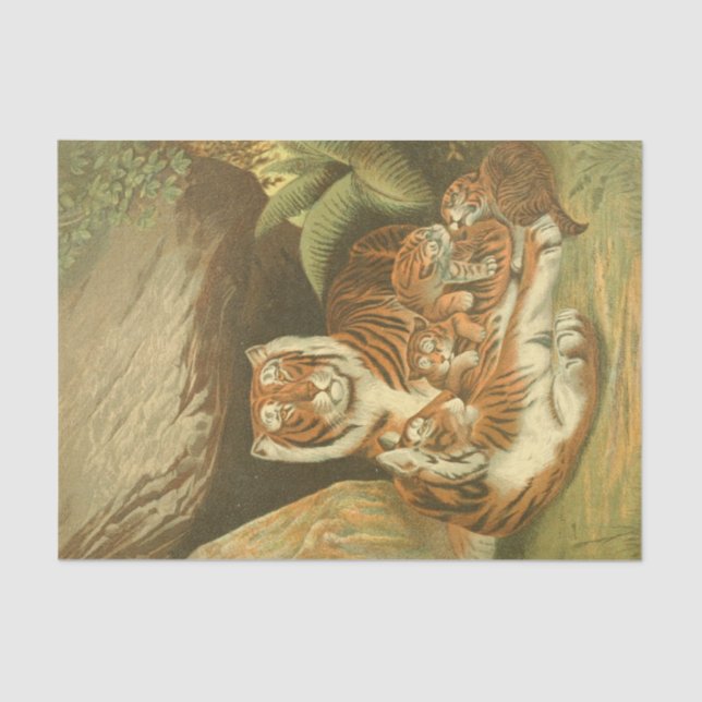 Vintage tigers decoupage crafting lovers tissue paper (Front)