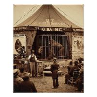 Vintage Tintype photo of a circus gorilla (1920s)