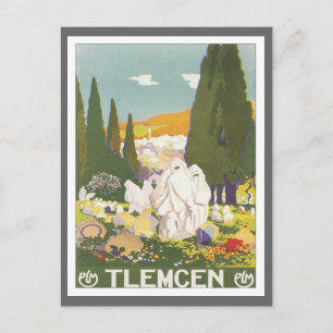 Vintage Tlemcen Algeria Postcard