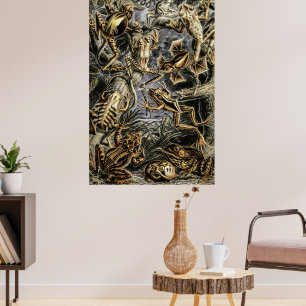 Vintage Toads and Frogs by Ernst Haeckel Poster