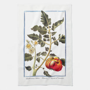 Vintage Tomato Kitchen Towel