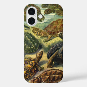 Vintage Tortoises and Sea Turtles by Ernst Haeckel iPhone 16 Case