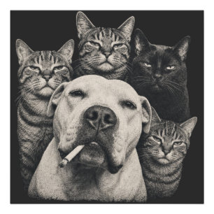 Vintage Tough Dog with Cigarette and Grumpy Cats Photo Print