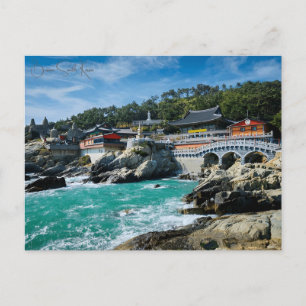 Vintage travel Busan South Korea Vacation retro  Postcard