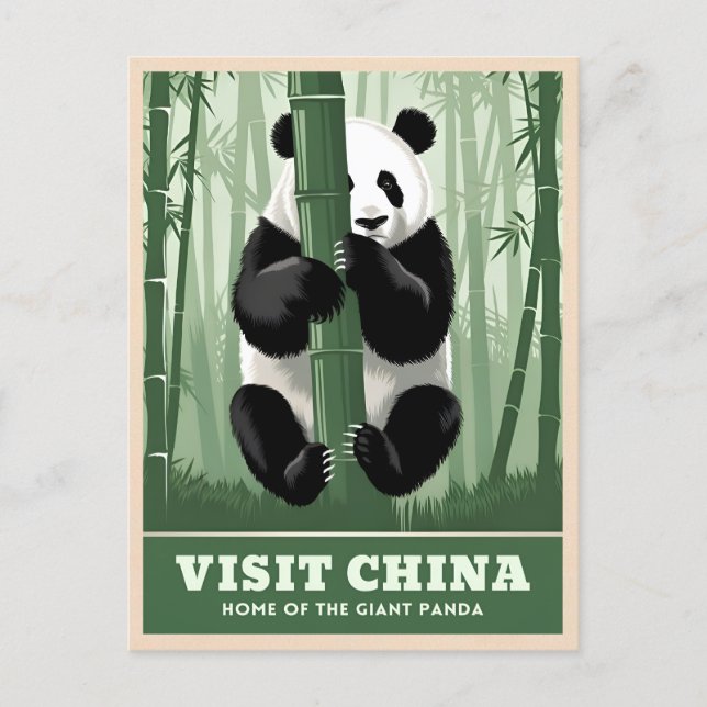 Vintage Travel China Panda Wildlife Nature Retro  Postcard (Front)