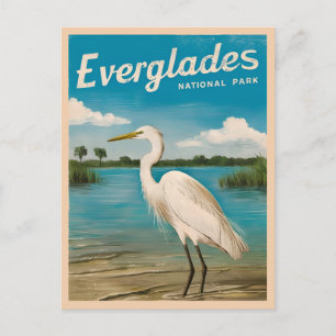Vintage Travel Florida Everglades Nature Wildlife Postcard