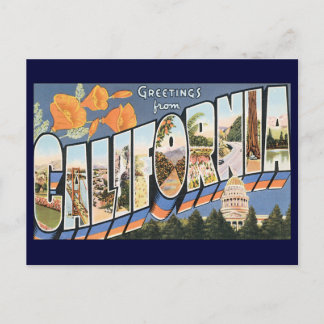 Vintage Travel, Greetings from California Poppies Postcard