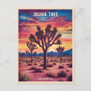Vintage Travel Joshua Tree National Park Retro Postcard