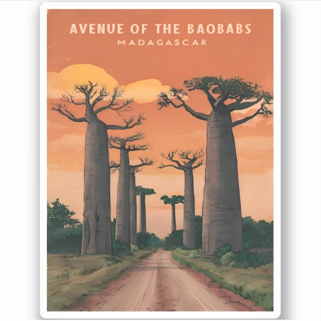 Vintage Travel Madagascar Baobab Trees Landscape  (Front)