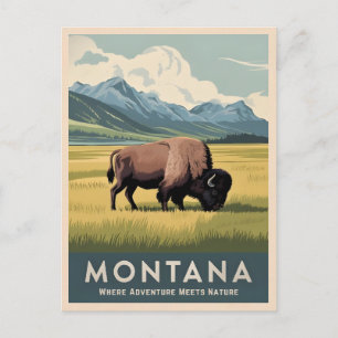 Vintage Travel Montana Bison Wildlife Retro Scenic Postcard