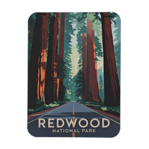 Vintage Travel Redwood National Park Retro  Scenic Magnet