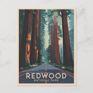 Vintage Travel Redwood National Park Retro Scenic Postcard