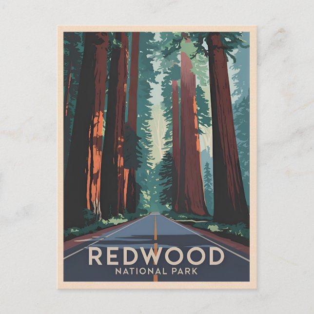 Vintage Travel Redwood National Park Retro  Scenic Postcard (Front)