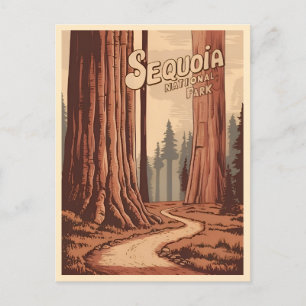 Vintage Travel Sequoia National Park Retro Graphic Postcard