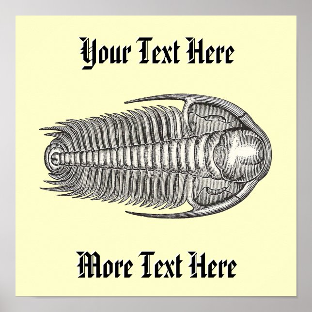 Vintage Trilobite Print (Front)