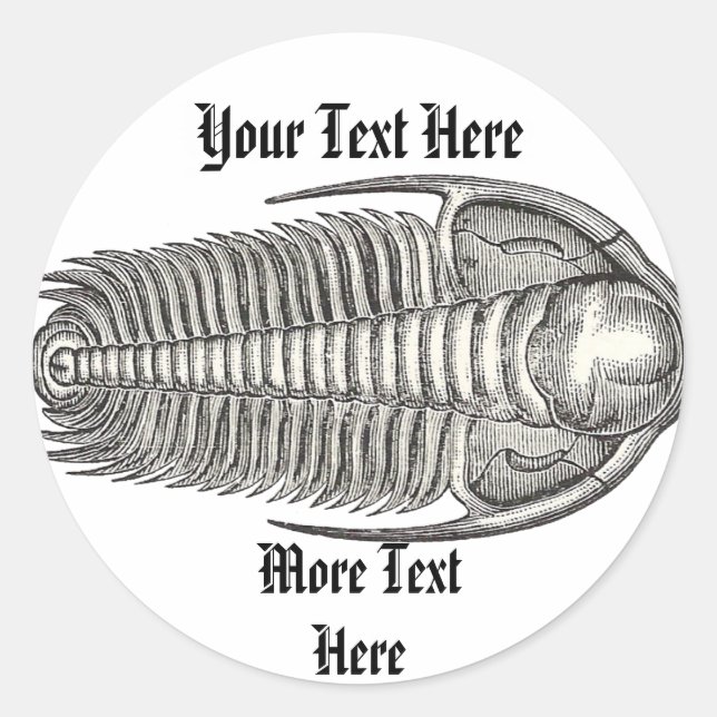 Vintage Trilobite Sticker (Front)