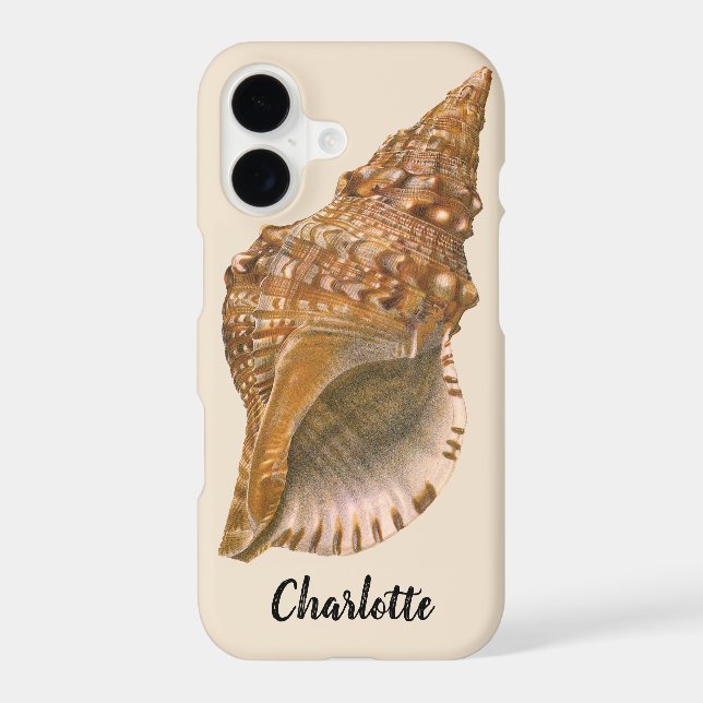 Vintage Triton Seashell Shell, Marine Ocean Animal (Back)