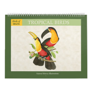 Vintage Tropical Birds Illustrations 2025 Calendar