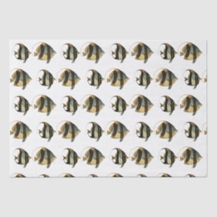 Vintage Tropical Fish Drawing Black Silver Gold Tissue Paper