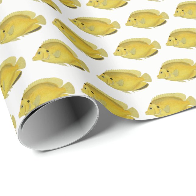 Vintage Tropical Fish Drawing Yellow Wrapping Paper (Roll Corner)