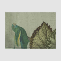 Vintage Tropical Green Parrot