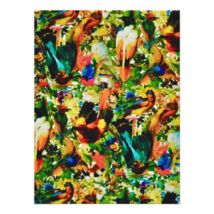 Vintage Tropical Jungle Wild Parrots Photo Print