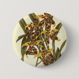 Vintage Tropical Odontoglossum Orchid Flowers 6 Cm Round Badge