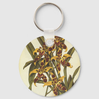 Vintage Tropical Odontoglossum Orchid Flowers Key Ring