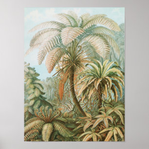Vintage Tropical Palm Tree, Retro Botanical Poster