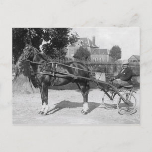 Vintage trotter and sulky postcard