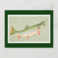 Vintage Trout fly fishing art