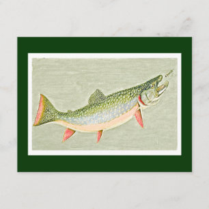 Vintage Trout fly fishing art Invitation