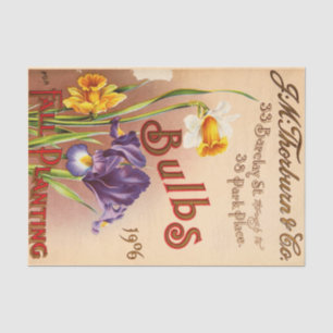 Vintage Tulip Flowers Seed Pack Tissue Paper